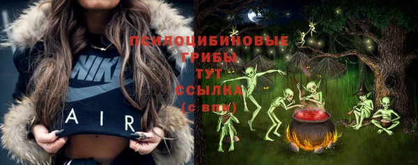 гидра Заволжье