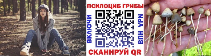 Галлюциногенные грибы Magic Shrooms  Купить  Нюрба 